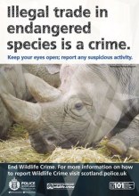 0145-15-AR-Wildlife-Crime-Poster-subtopic-CITES
