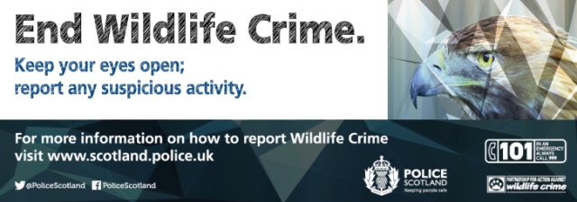 145-15-AR-Wildlife-Crime-banner-725x255px