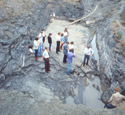 The excavation site in 1982. Courtesy of The SHARK Community Group