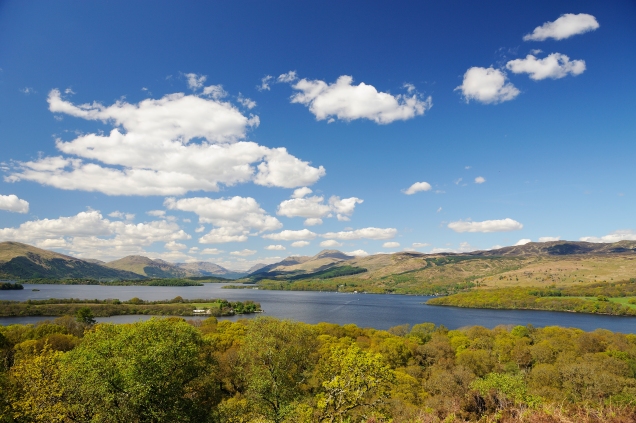 Inchcailloch NNR, Loch Lomond.©Lorne Gill/SNH
