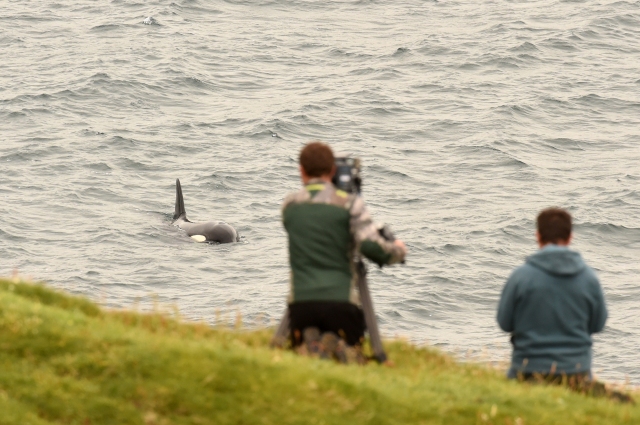 fergus and richard_filming orca ©brydon thomason